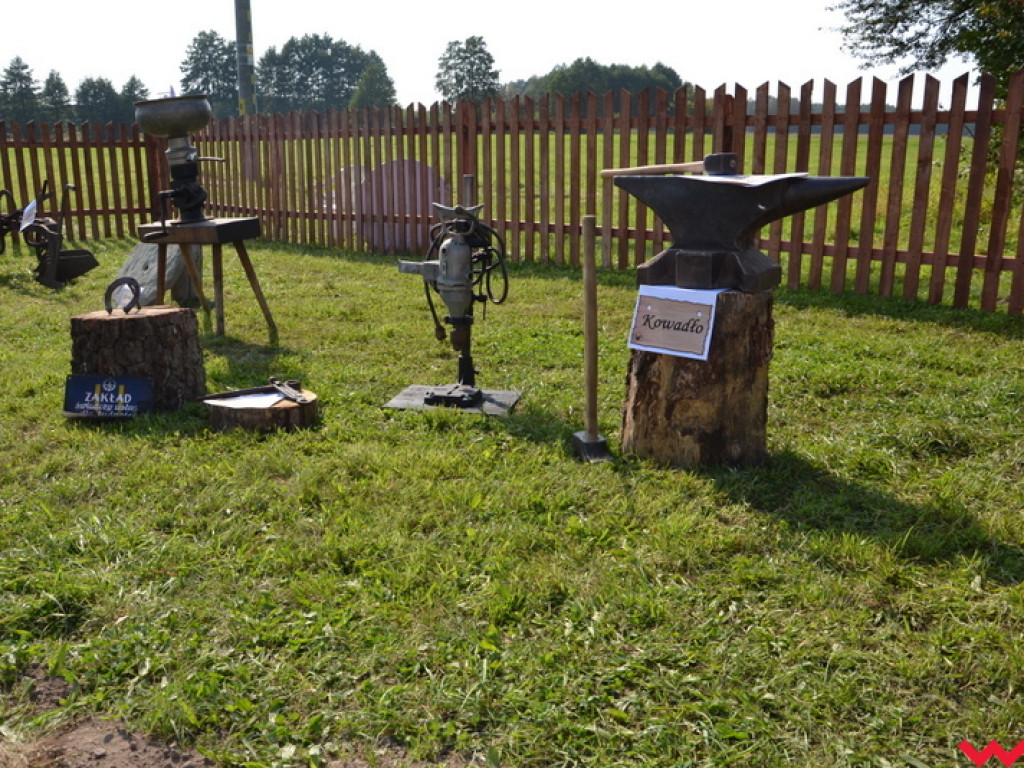 Minizagroda olęderska w Gierłatowie (galeria)