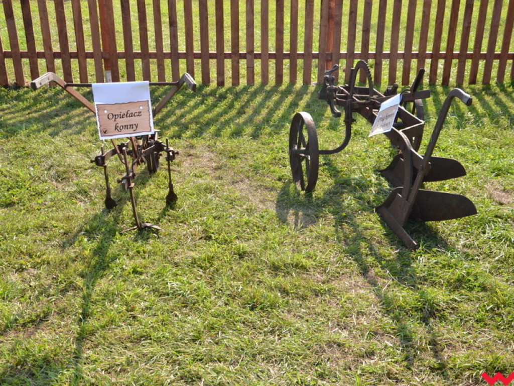 Minizagroda olęderska w Gierłatowie (galeria)