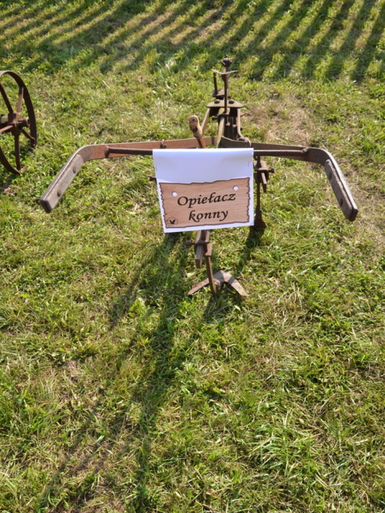 Minizagroda olęderska w Gierłatowie (galeria)