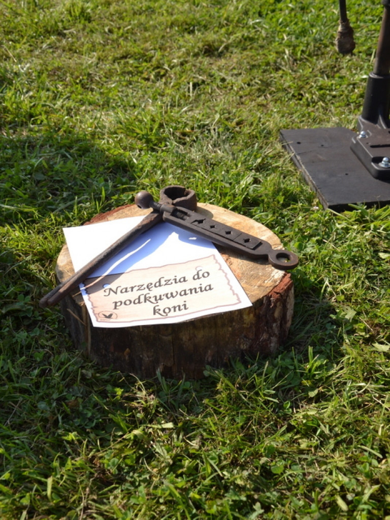 Minizagroda olęderska w Gierłatowie (galeria)