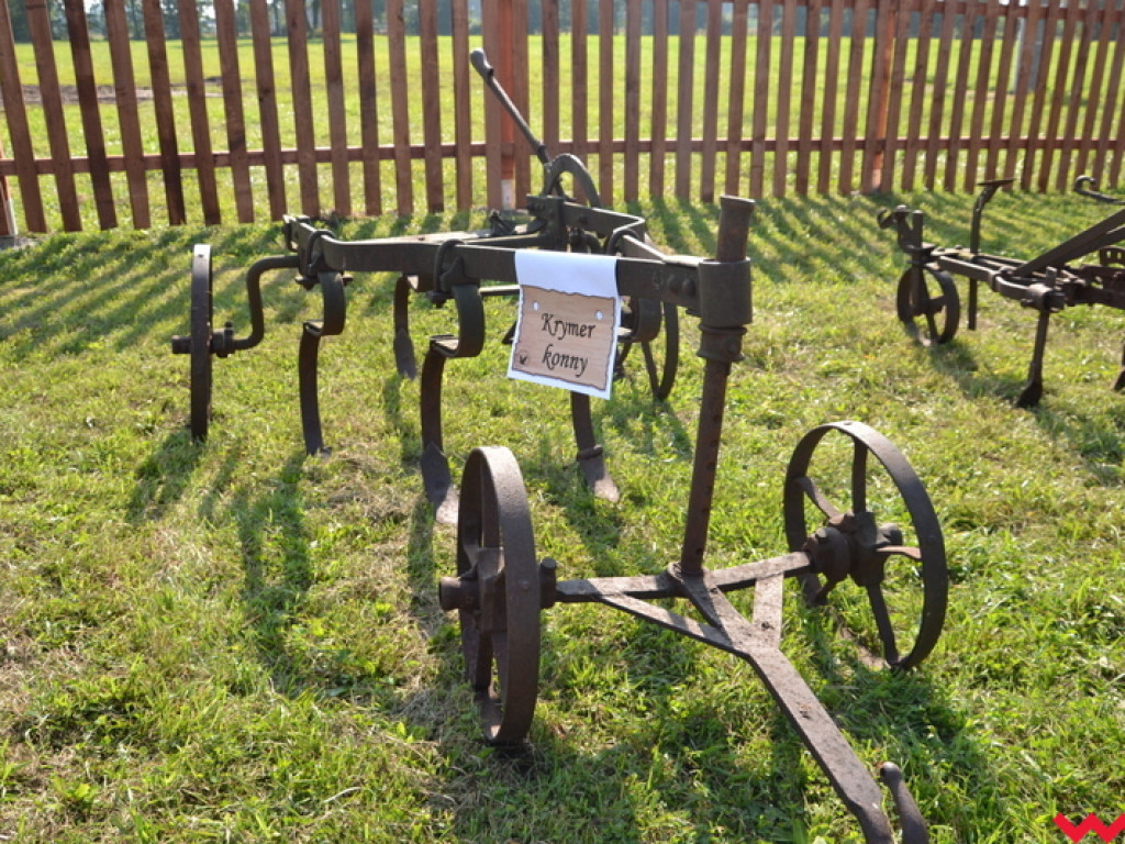 Minizagroda olęderska w Gierłatowie (galeria)