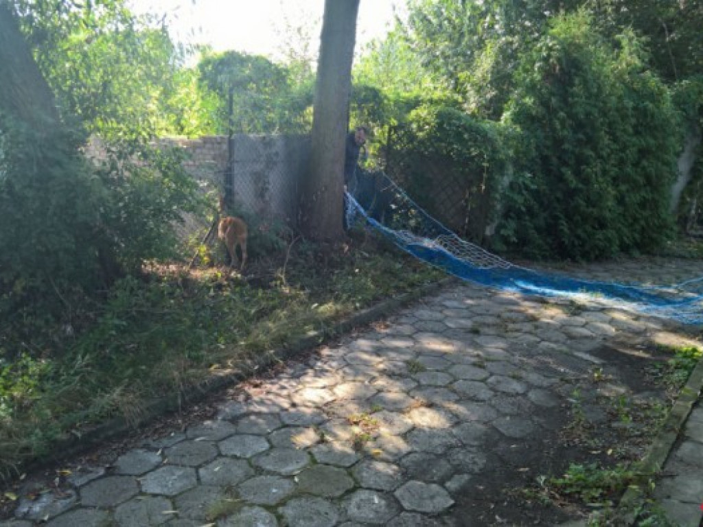 Koziołek zawitał z wizytą do Wrześni