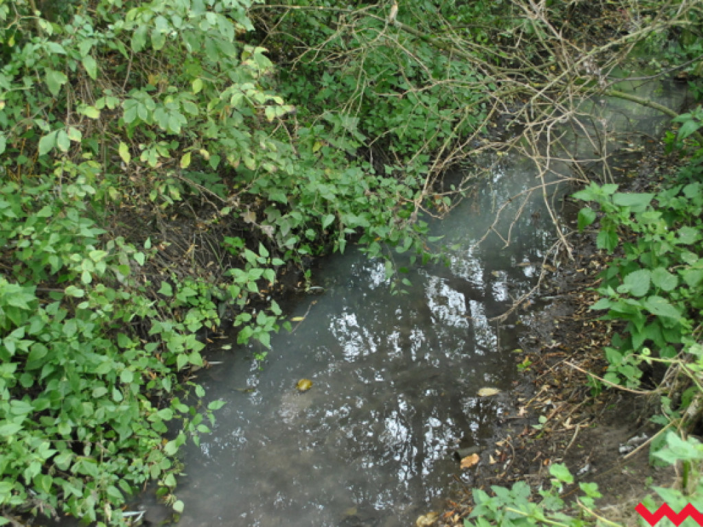 Mąciciel wody znowu atakuje kanałek (galeria/wideo)
