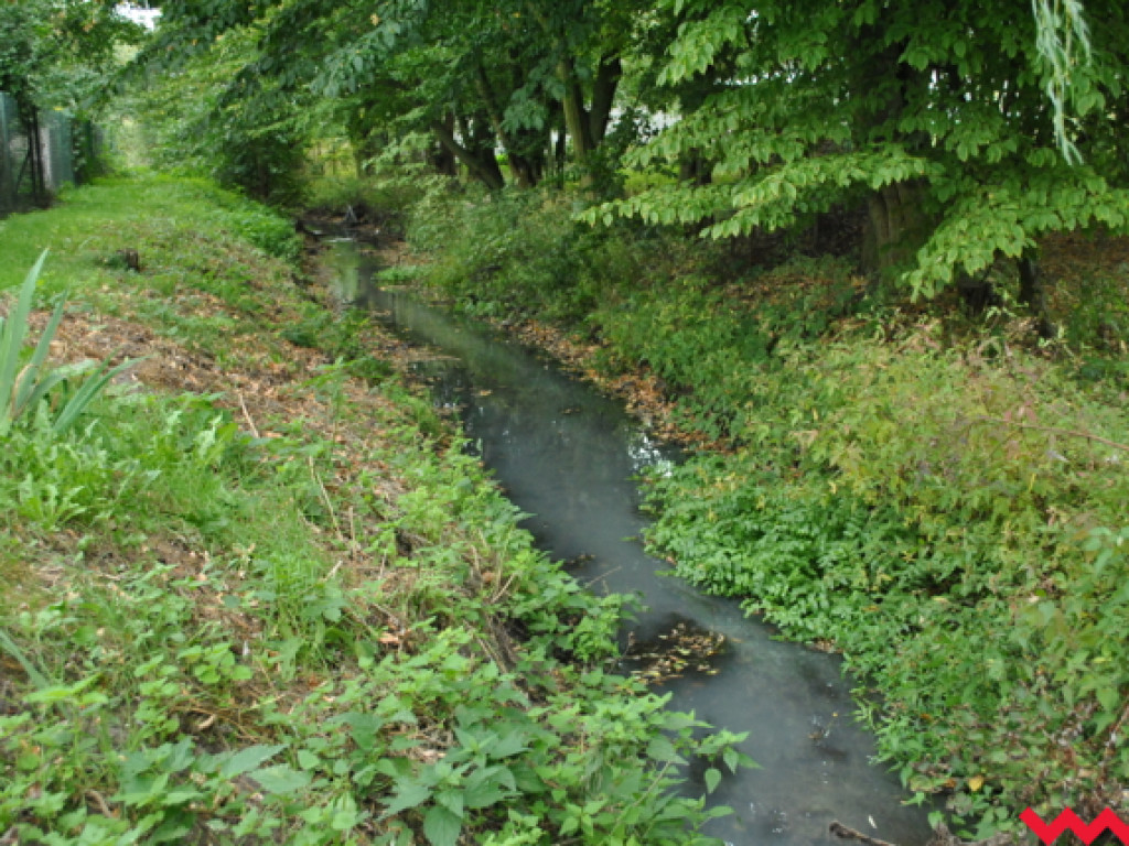 Mąciciel wody znowu atakuje kanałek (galeria/wideo)