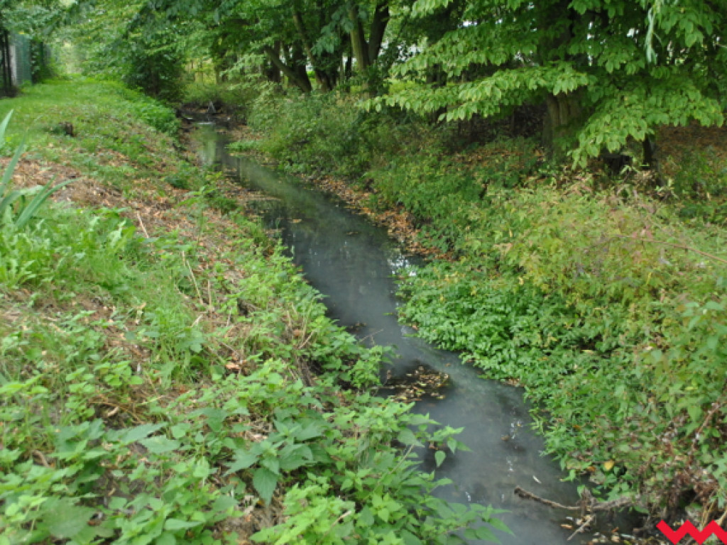 Mąciciel wody znowu atakuje kanałek (galeria/wideo)