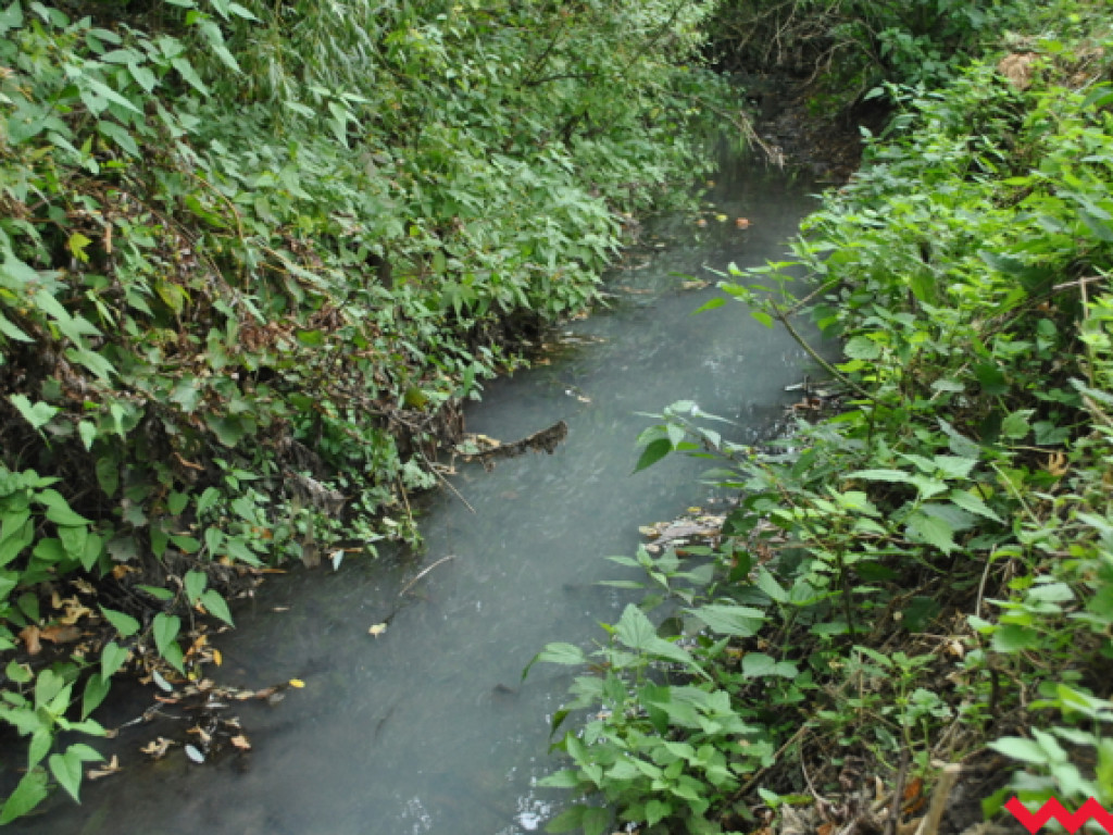 Mąciciel wody znowu atakuje kanałek (galeria/wideo)
