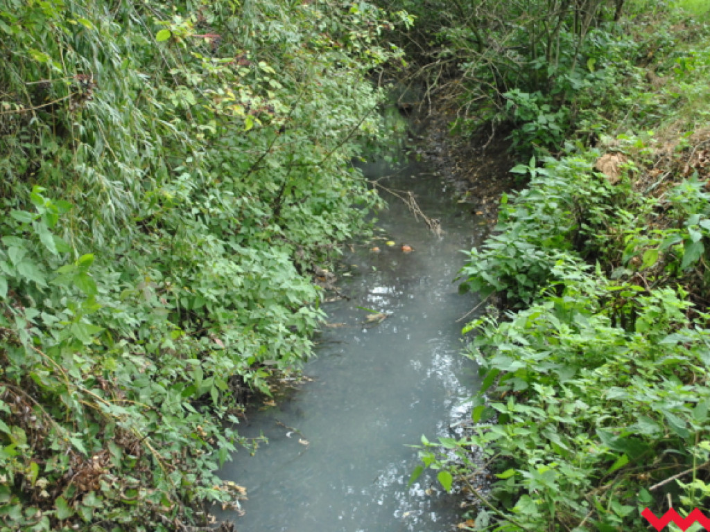 Mąciciel wody znowu atakuje kanałek (galeria/wideo)