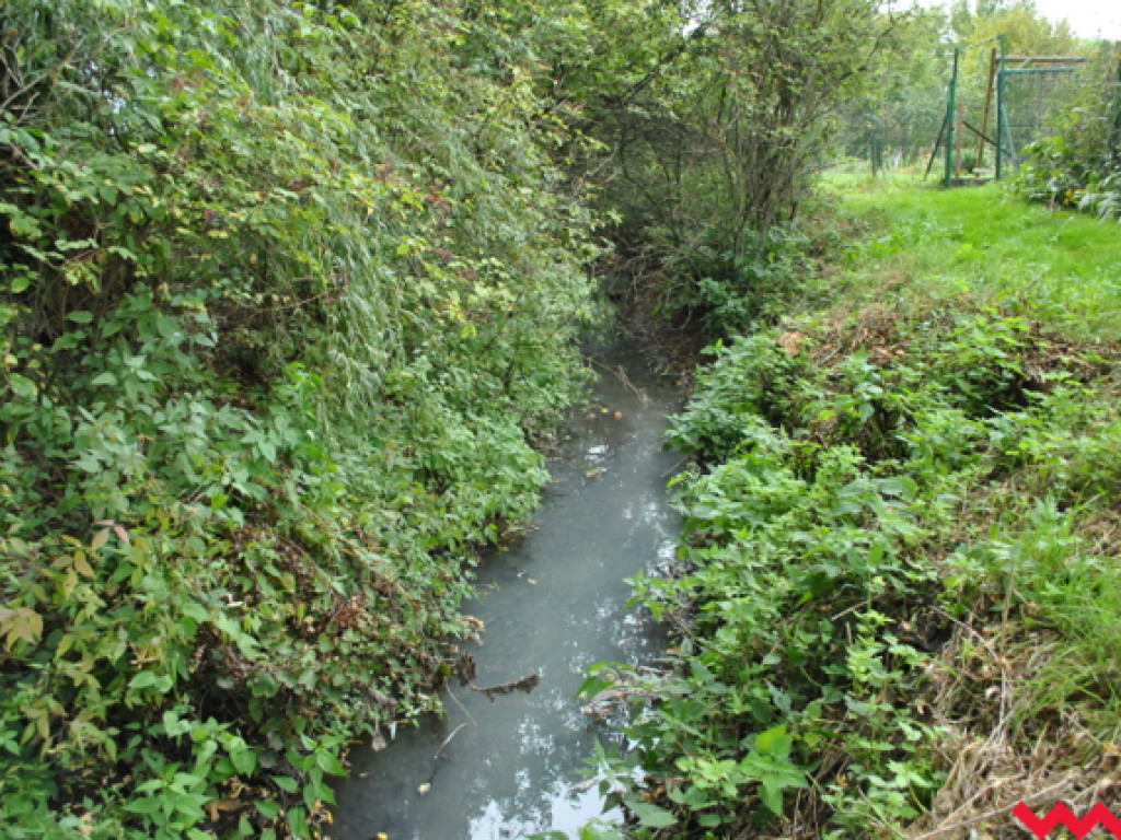 Mąciciel wody znowu atakuje kanałek (galeria/wideo)