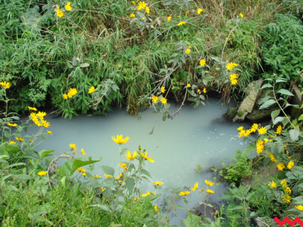 Mąciciel wody znowu atakuje kanałek (galeria/wideo)