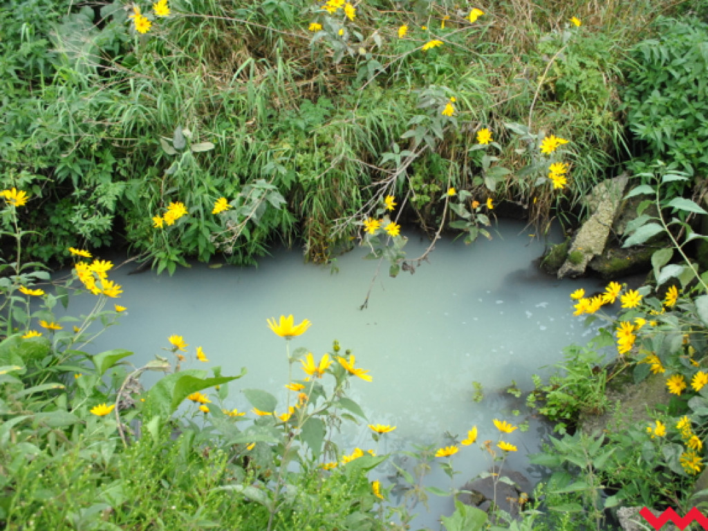 Mąciciel wody znowu atakuje kanałek (galeria/wideo)