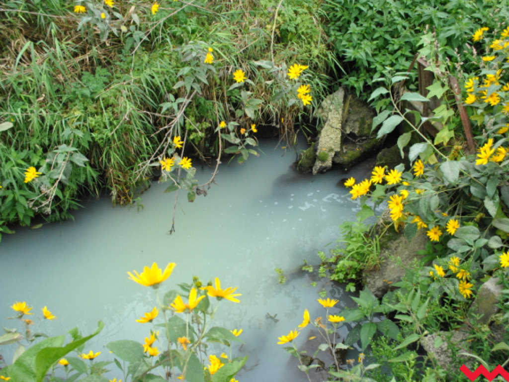 Mąciciel wody znowu atakuje kanałek (galeria/wideo)