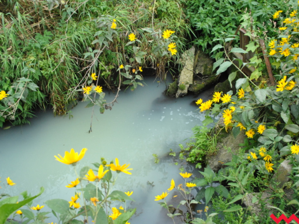 Mąciciel wody znowu atakuje kanałek (galeria/wideo)