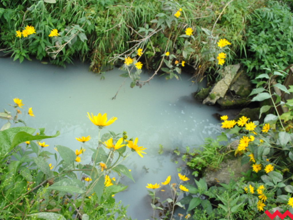 Mąciciel wody znowu atakuje kanałek (galeria/wideo)