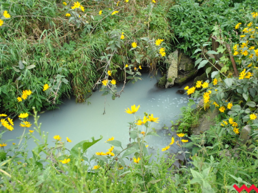 Mąciciel wody znowu atakuje kanałek (galeria/wideo)