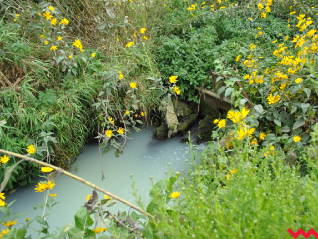 Mąciciel wody znowu atakuje kanałek (galeria/wideo)