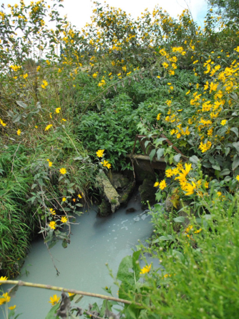 Mąciciel wody znowu atakuje kanałek (galeria/wideo)