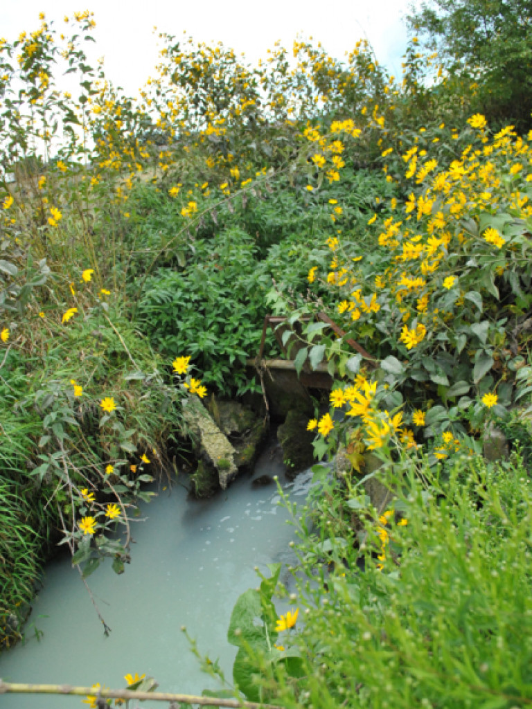 Mąciciel wody znowu atakuje kanałek (galeria/wideo)