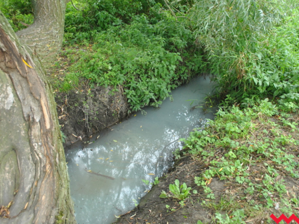 Mąciciel wody znowu atakuje kanałek (galeria/wideo)