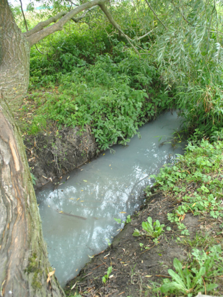 Mąciciel wody znowu atakuje kanałek (galeria/wideo)