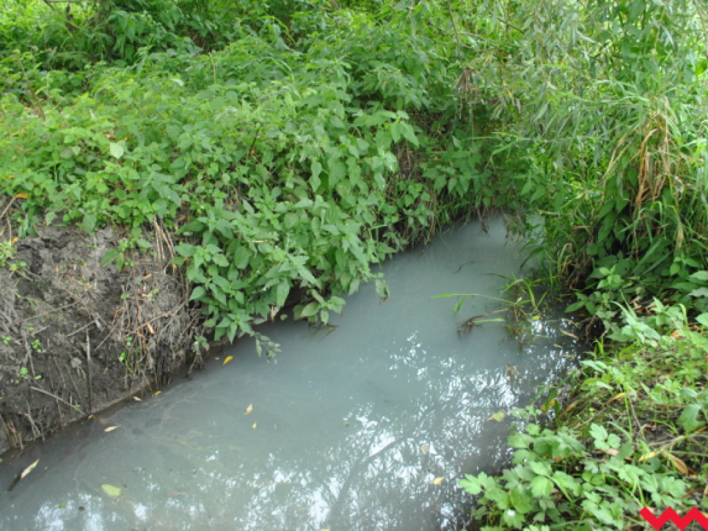 Mąciciel wody znowu atakuje kanałek (galeria/wideo)