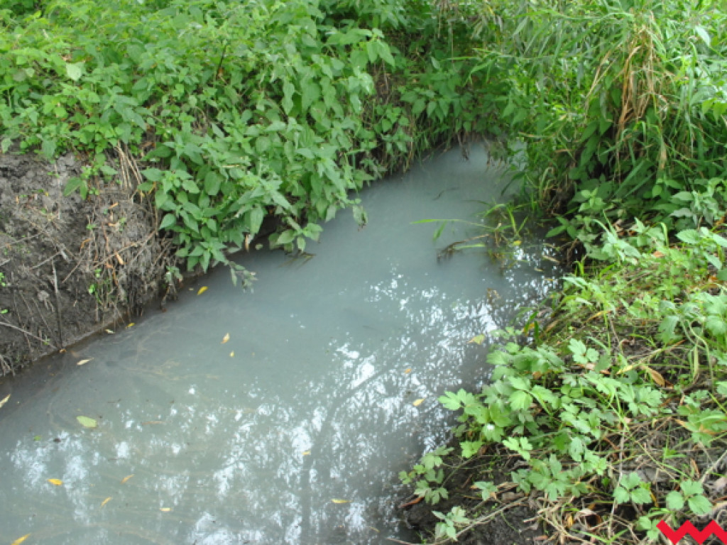 Mąciciel wody znowu atakuje kanałek (galeria/wideo)