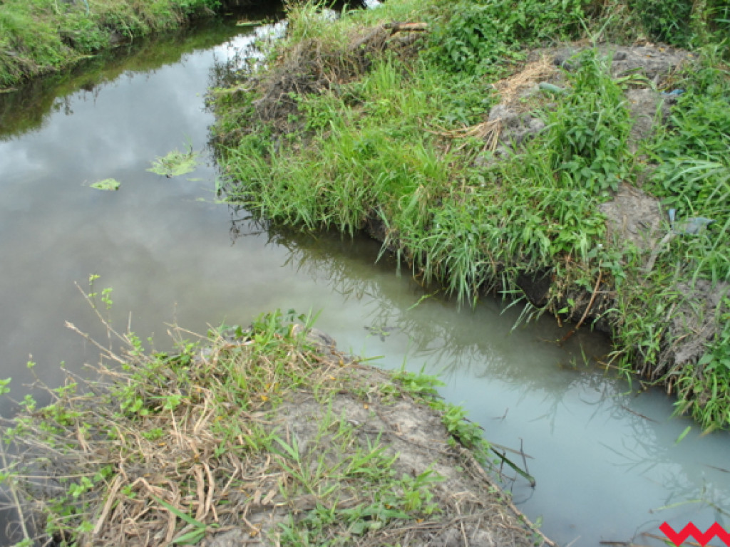 Mąciciel wody znowu atakuje kanałek (galeria/wideo)