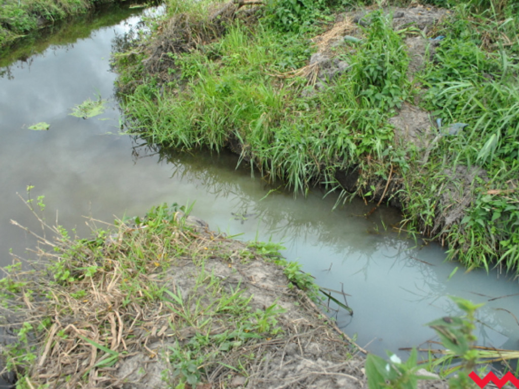 Mąciciel wody znowu atakuje kanałek (galeria/wideo)