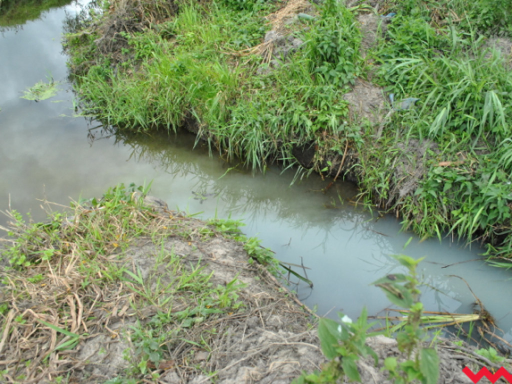 Mąciciel wody znowu atakuje kanałek (galeria/wideo)