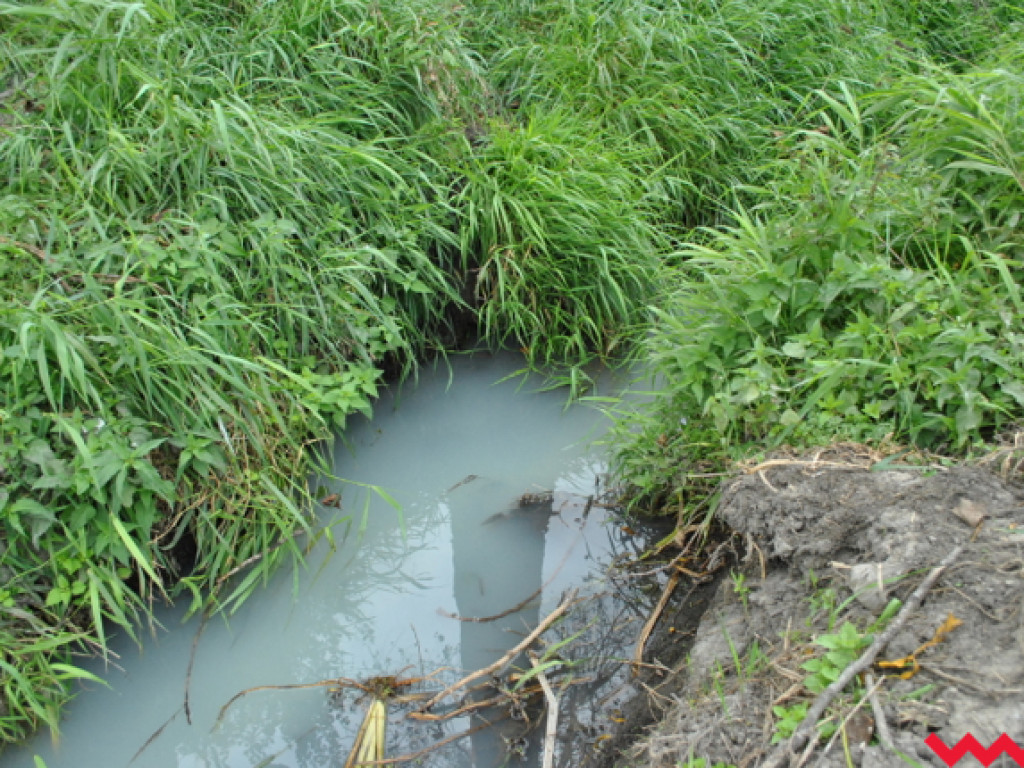 Mąciciel wody znowu atakuje kanałek (galeria/wideo)