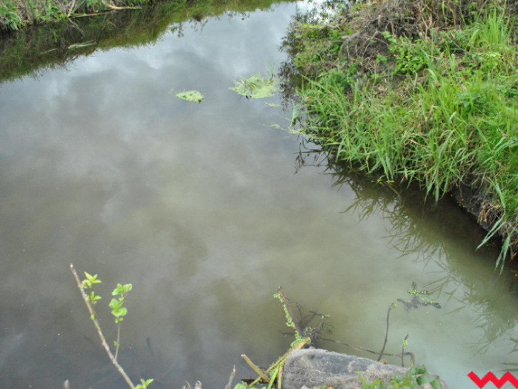Mąciciel wody znowu atakuje kanałek (galeria/wideo)