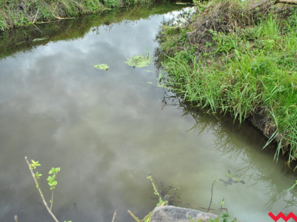 Mąciciel wody znowu atakuje kanałek (galeria/wideo)