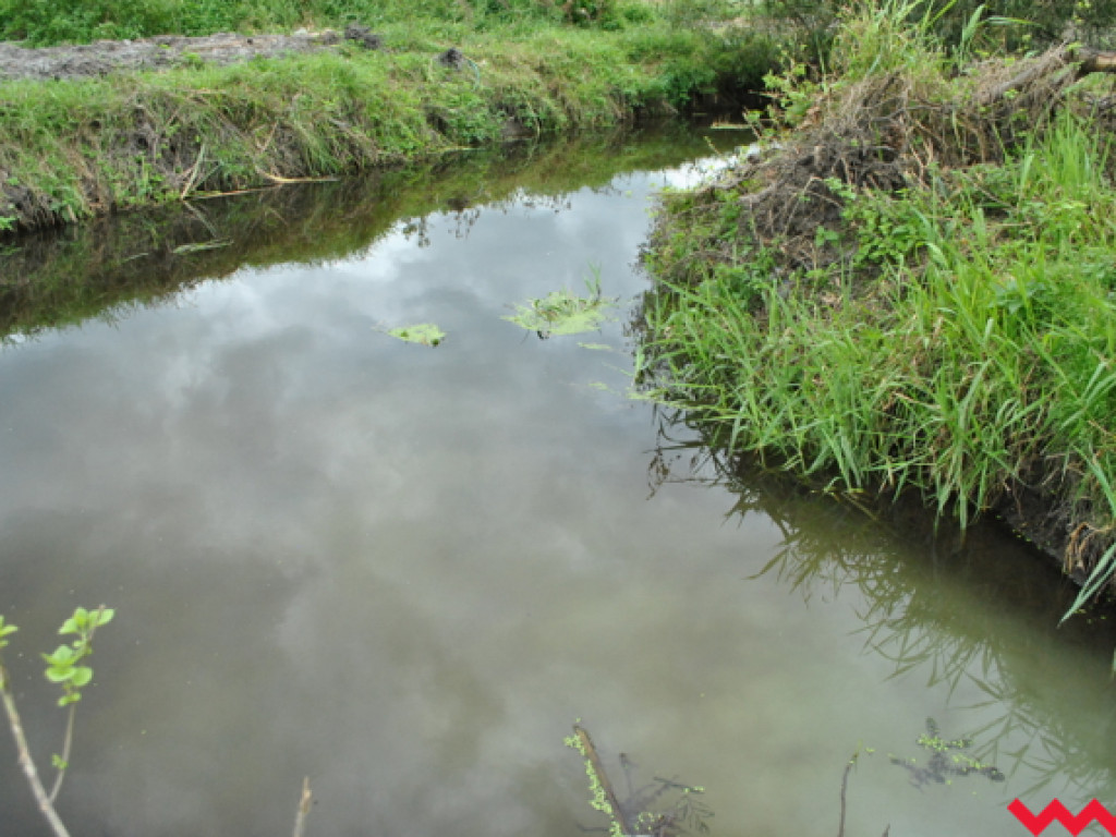 Mąciciel wody znowu atakuje kanałek (galeria/wideo)