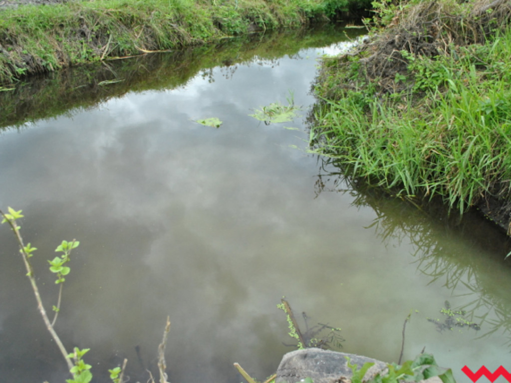 Mąciciel wody znowu atakuje kanałek (galeria/wideo)