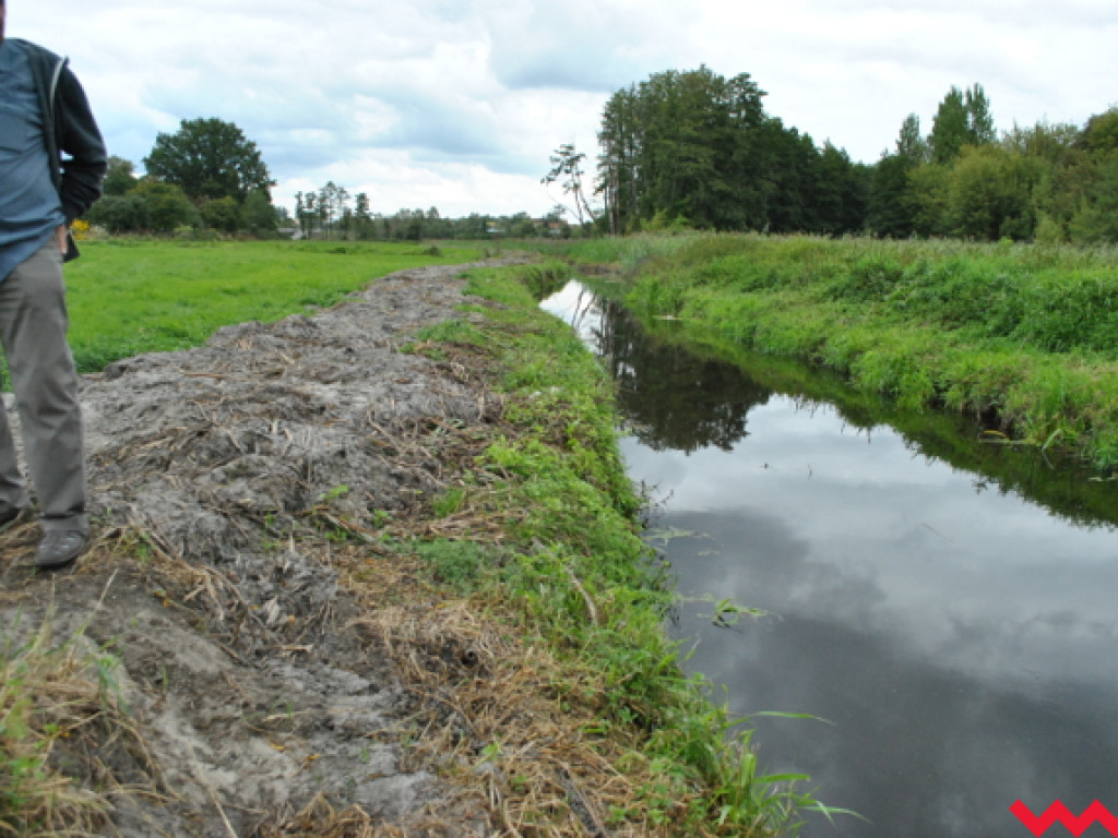Mąciciel wody znowu atakuje kanałek (galeria/wideo)
