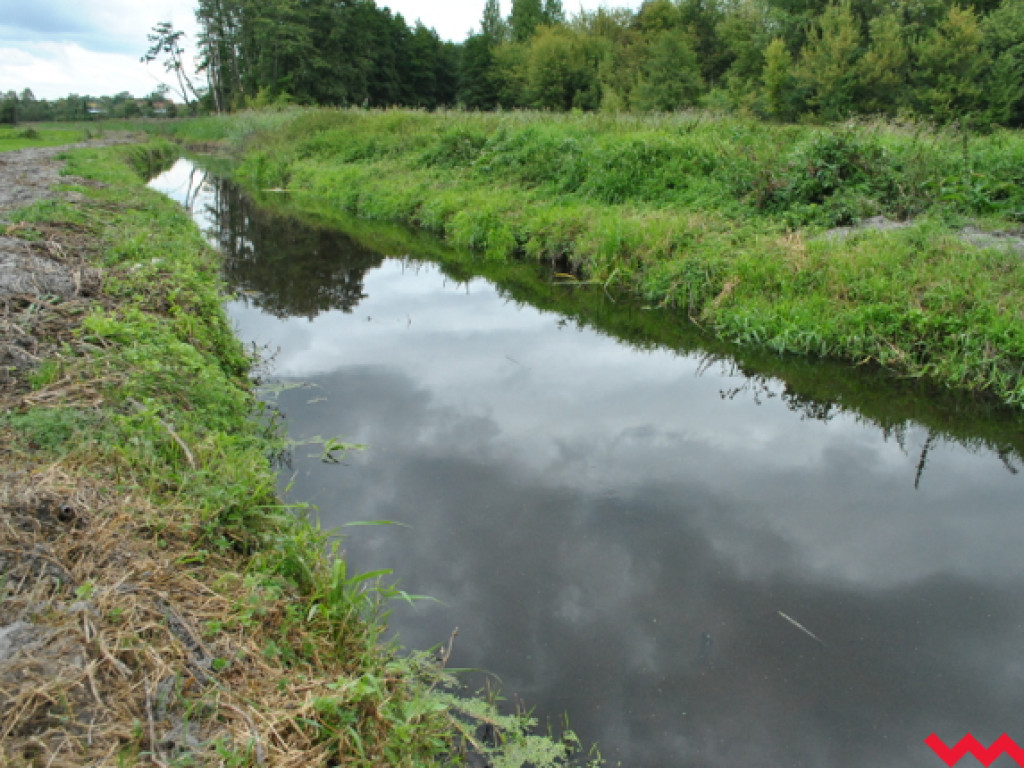 Mąciciel wody znowu atakuje kanałek (galeria/wideo)