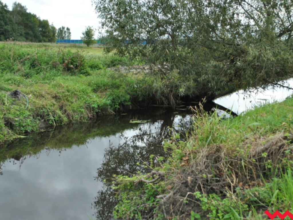 Mąciciel wody znowu atakuje kanałek (galeria/wideo)