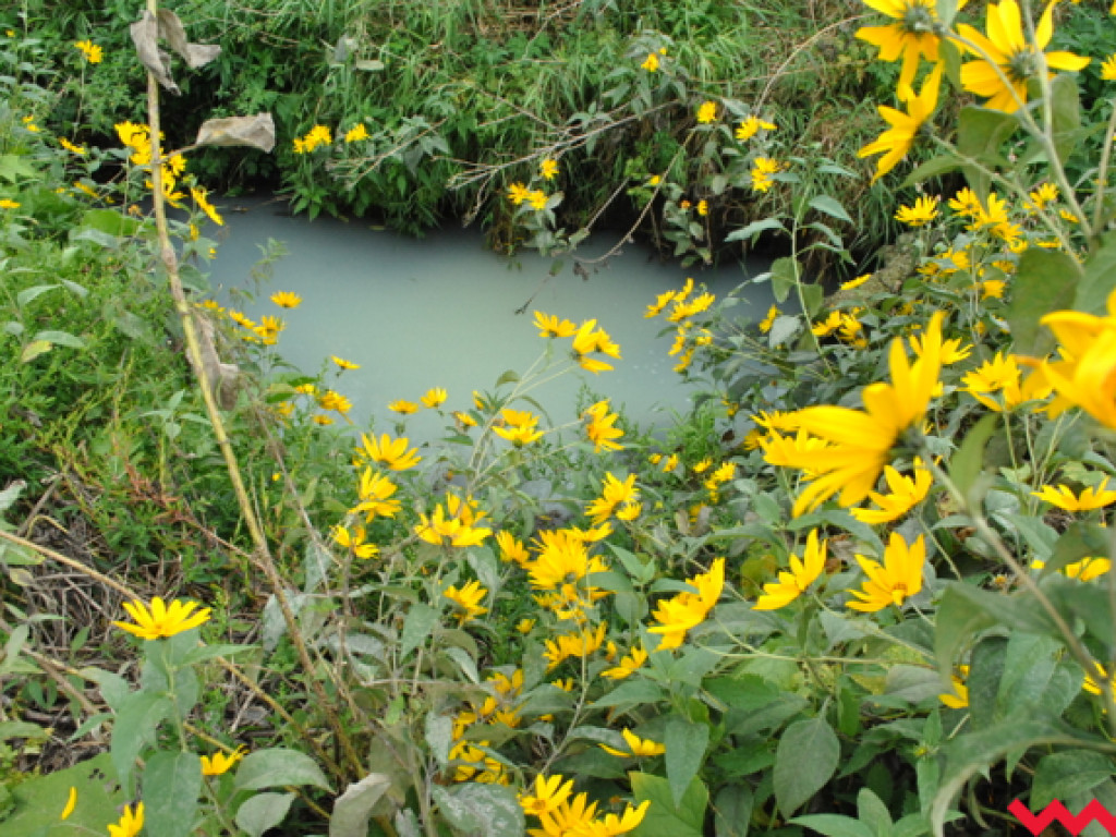 Mąciciel wody znowu atakuje kanałek (galeria/wideo)