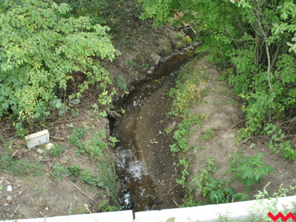 Mąciciel wody znowu atakuje kanałek (galeria/wideo)