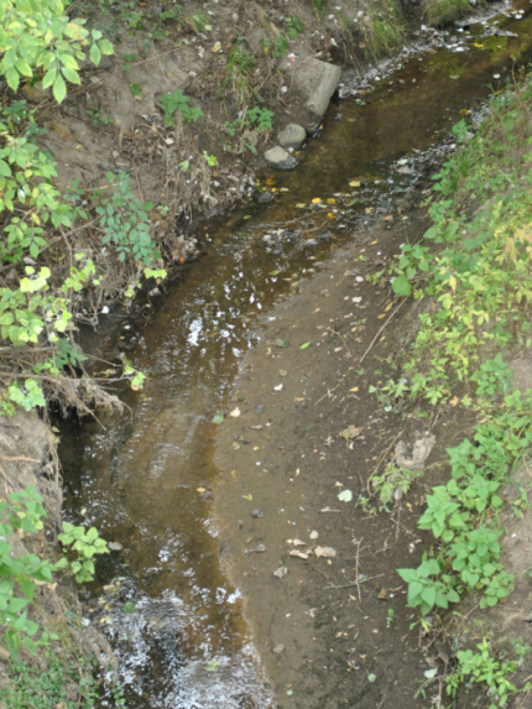 Mąciciel wody znowu atakuje kanałek (galeria/wideo)