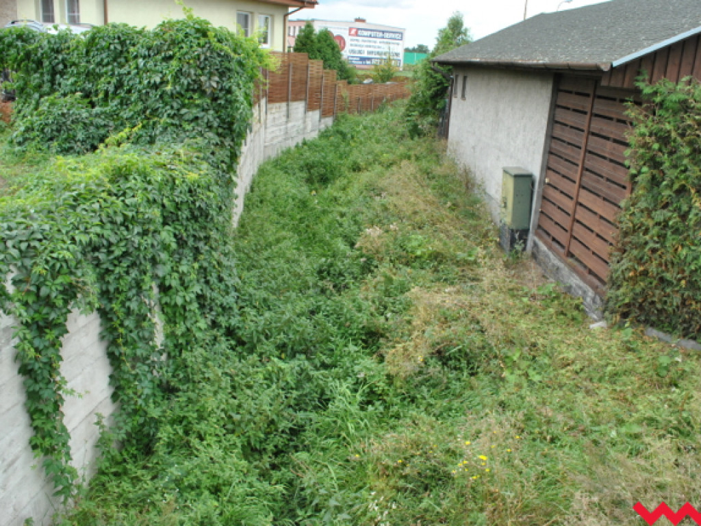 Mąciciel wody znowu atakuje kanałek (galeria/wideo)