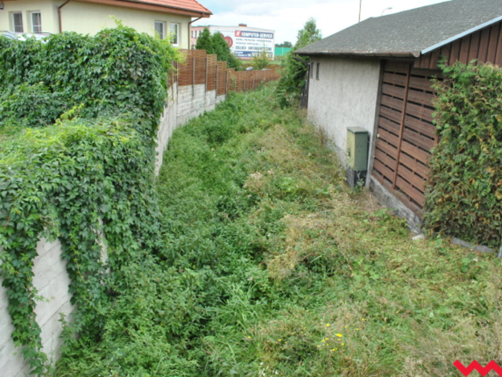 Mąciciel wody znowu atakuje kanałek (galeria/wideo)