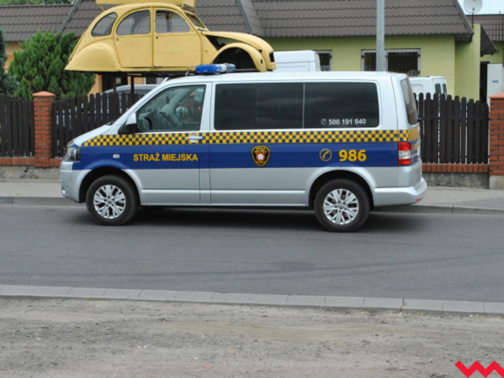 Mąciciel wody znowu atakuje kanałek (galeria/wideo)