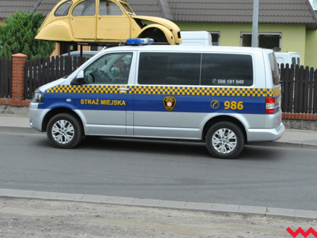 Mąciciel wody znowu atakuje kanałek (galeria/wideo)