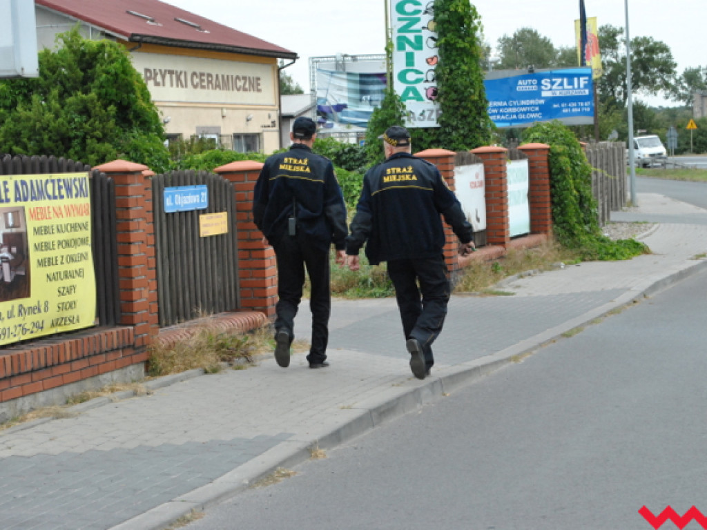 Mąciciel wody znowu atakuje kanałek (galeria/wideo)