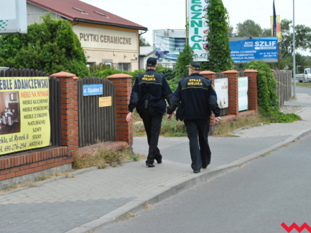 Mąciciel wody znowu atakuje kanałek (galeria/wideo)