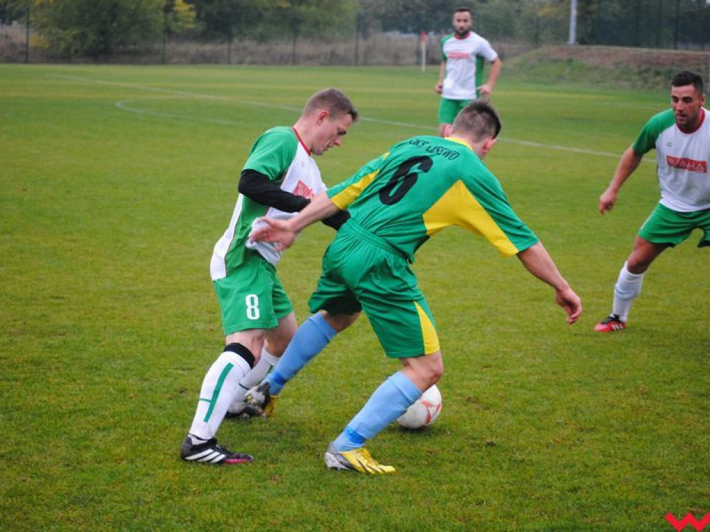 Kolejny dobry mecz Warty