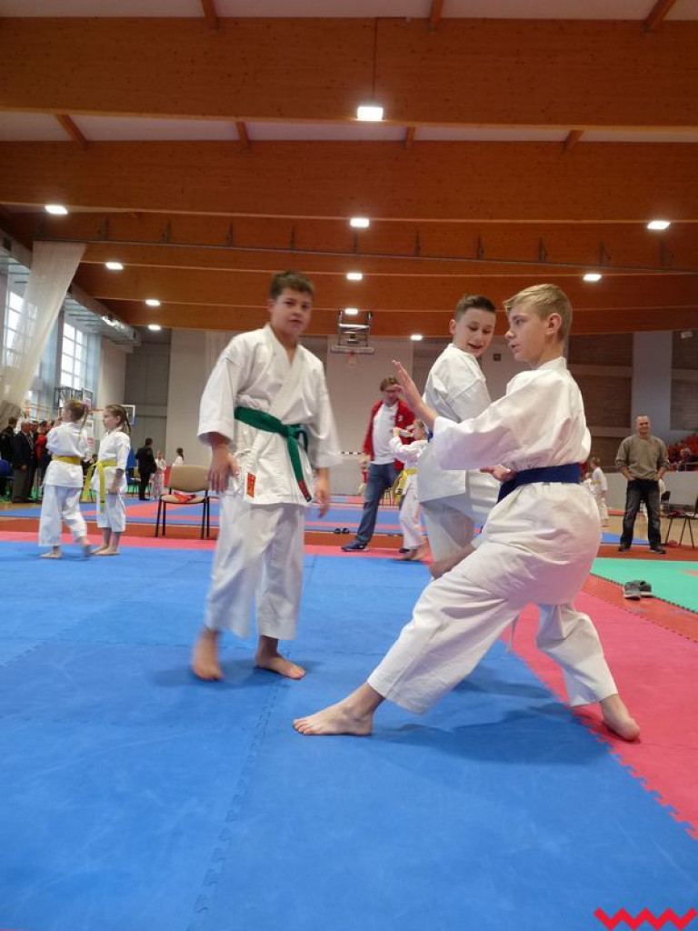 Historyczny sukces Wrzesińskiego Klubu Karate