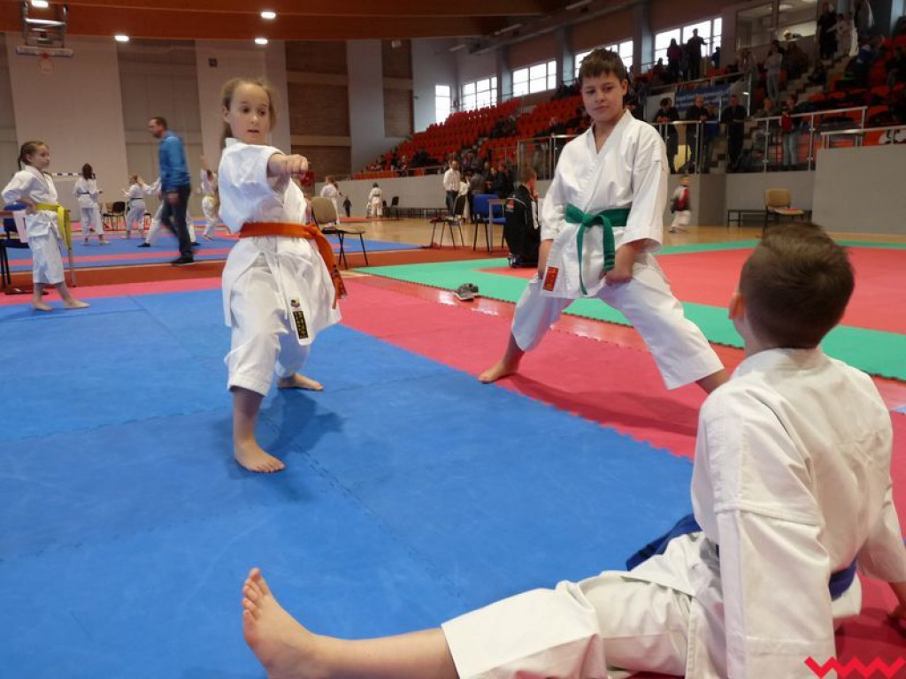 Historyczny sukces Wrzesińskiego Klubu Karate