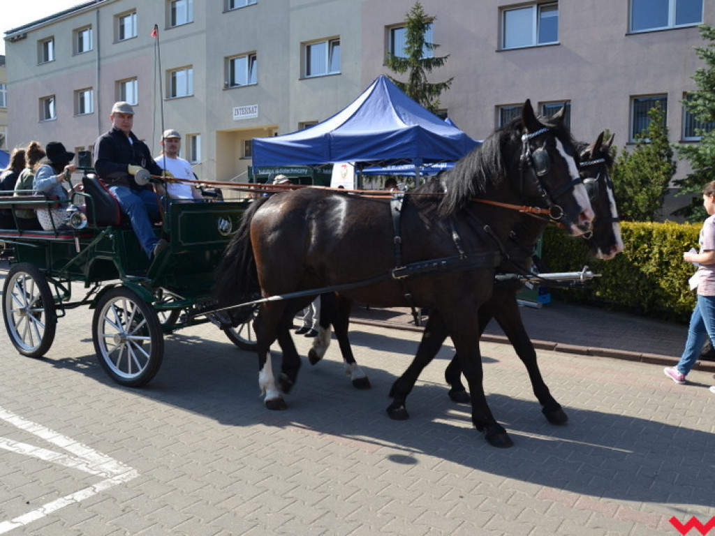 Sitraki z US Army, czyli atrakcyjny piknik w ZSTiO