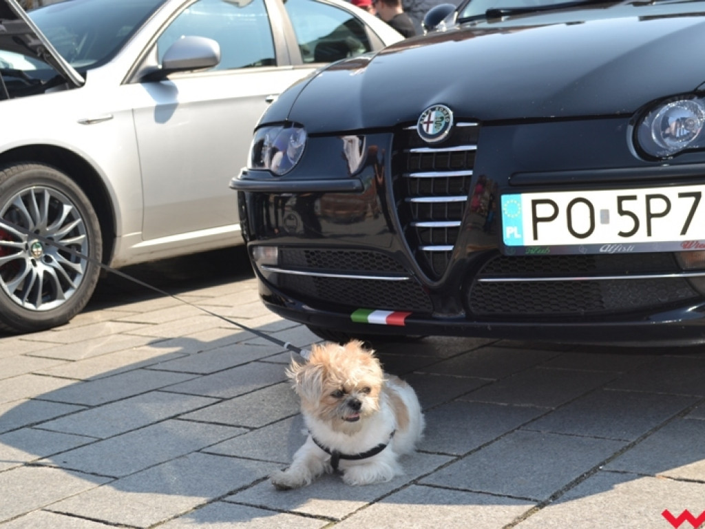 Miłośnicy włoskich aut stylowo promowali akcję rejestracji dawców szpiku